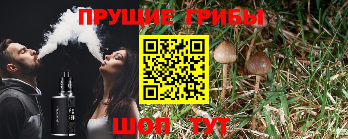 где найти наркотики  Вход с VPN  Саянск  Псилоцибиновые грибы мухоморы  Галлюциногенные грибы MAGIC MUSHROOMS 